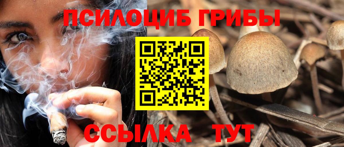 Сызрань  Галлюциногенные грибы ЛСД  Вход с VPN  Галлюциногенные грибы GOLDEN TEACHER 