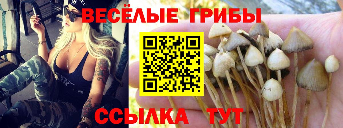 Псилоцибиновые грибы Psilocybine cubensis Сызрань