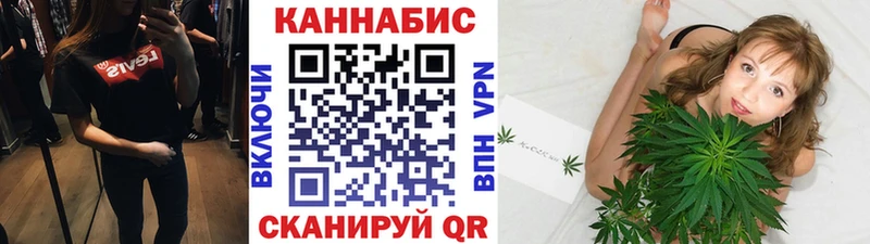 дарнет шоп  Сызрань  Марихуана сатива 